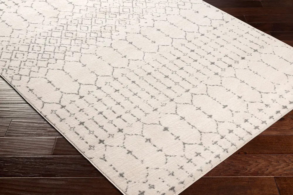 Tevazu TVZ-2382 9' x 12' Machine Woven Rug