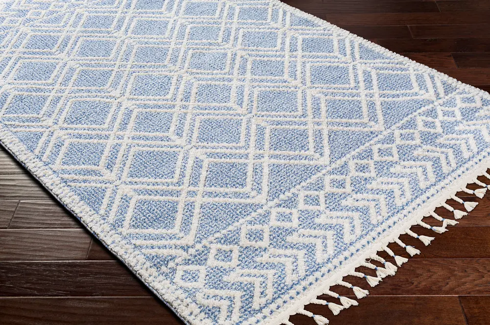 Valencia VLC-2314 2' x 3' Machine Woven Rug