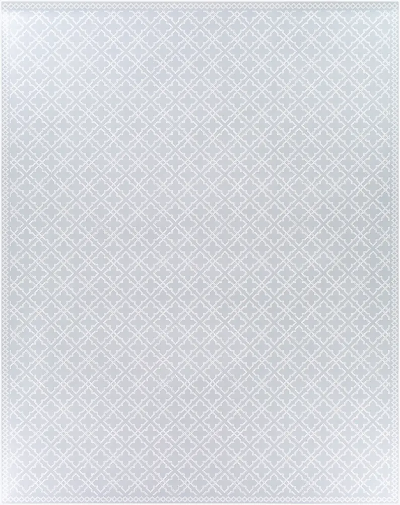 Vinilo VNL-2307 2' x 3' Machine Woven Rug