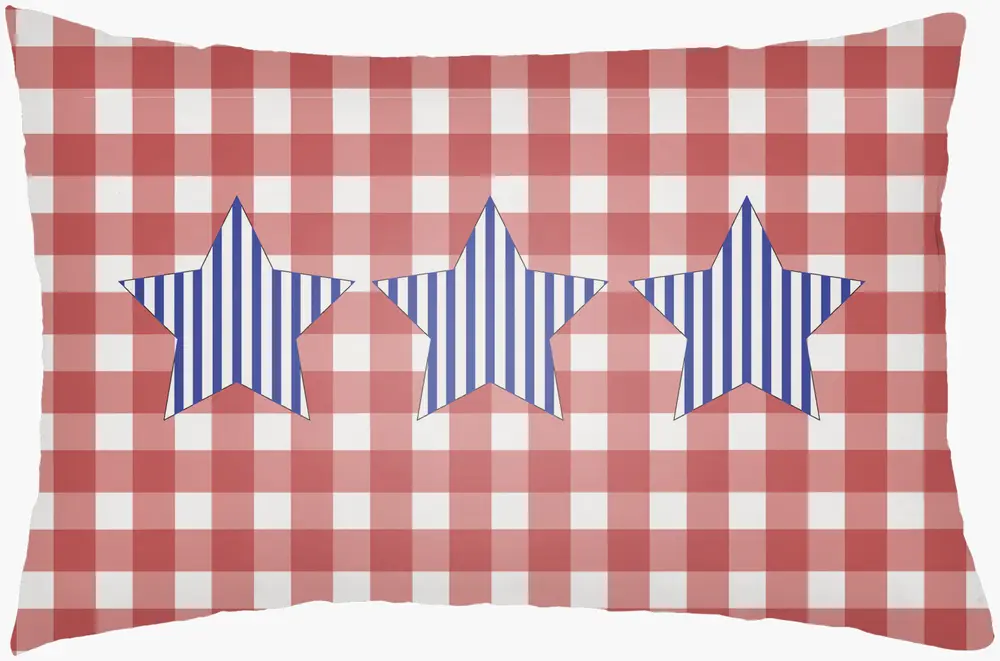 Patriotic PII-001 14