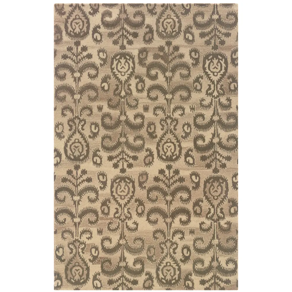 Anastasia 68002 Beige/ Brown Indoor Area Rug - 10' x 13'
