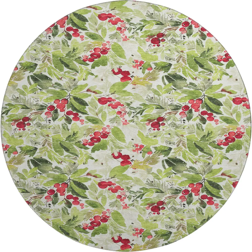 Merry & Bright MY24 Aloe 8' x 8' Round