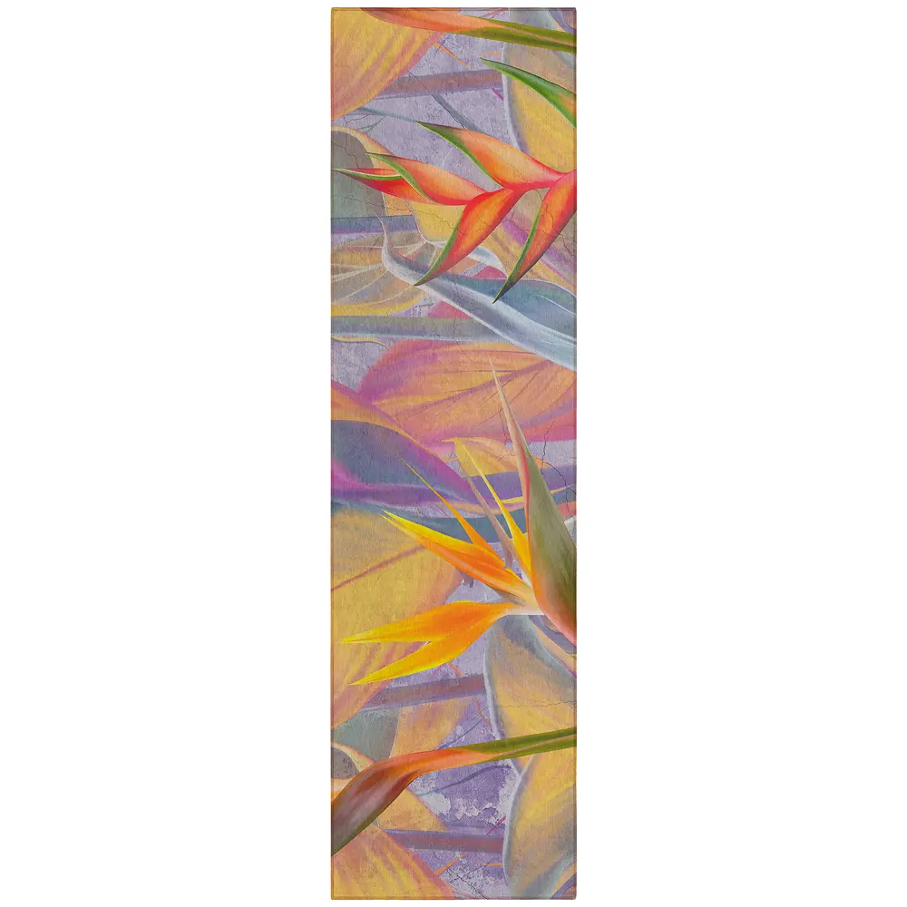 Tropics TC14 Passion 2'3