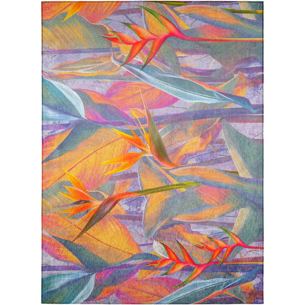 Tropics TC14 Passion 9' x 12'