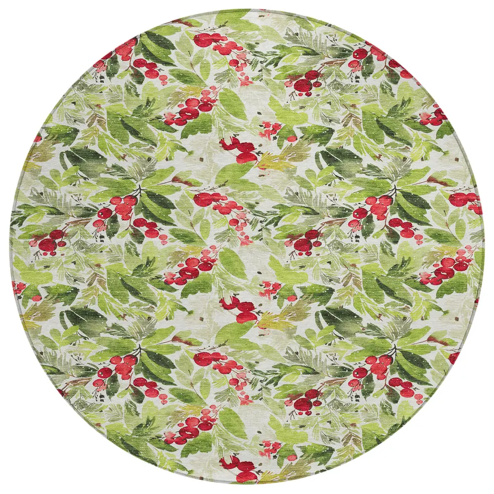 Wonderland WN24 Aloe 8' x 8' Round