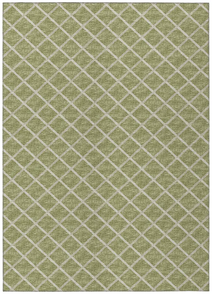 York YO1 Aloe 5' x 7'6