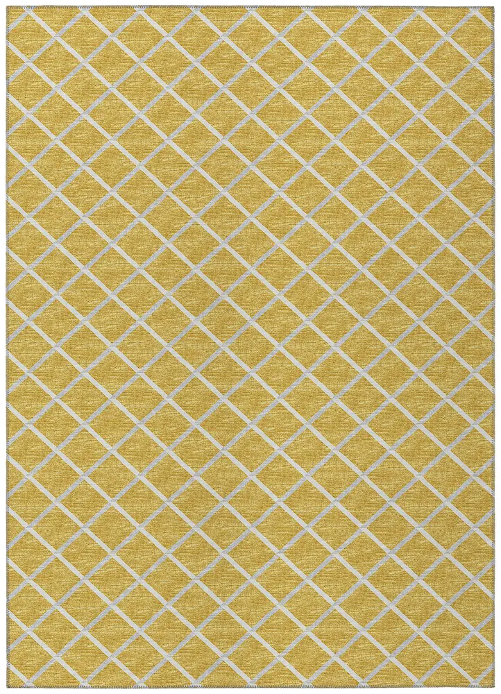 York YO1 Gold 3' x 5'