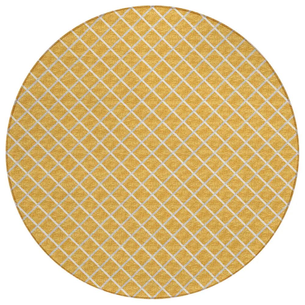 York YO1 Gold 4' x 4' Round
