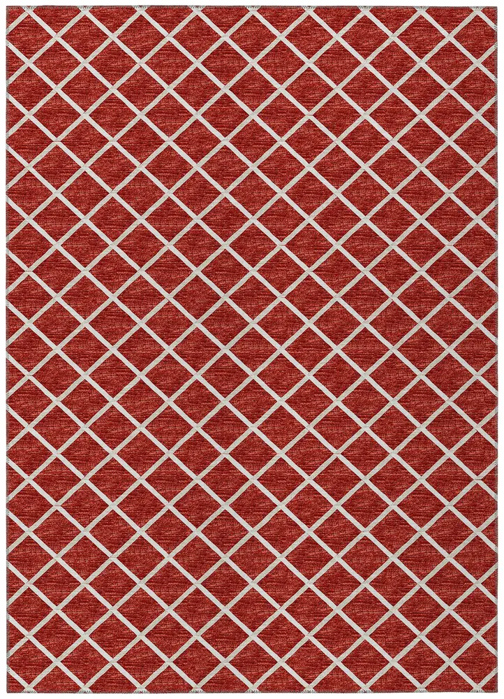 York YO1 Red 9' x 12'