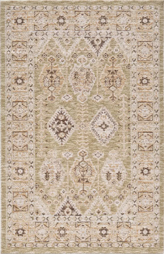 Mira 4610 Sage Portia Machine WovenPerformance Area Rug
