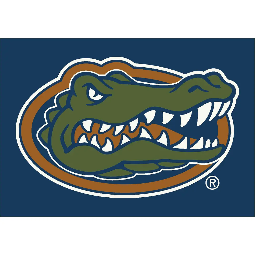 University Of Florida 4x6 Spirit Rug