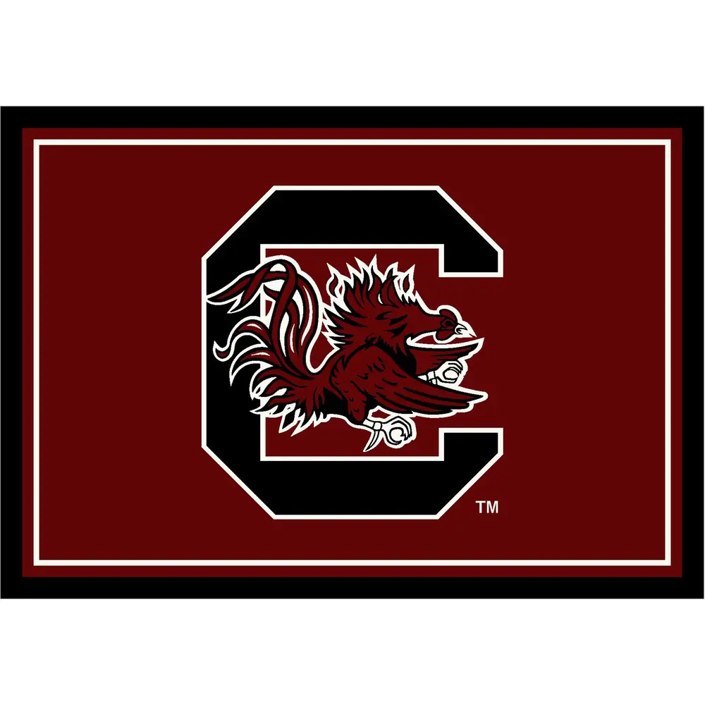 University Of South Carolina 4x6 Spirit Rug