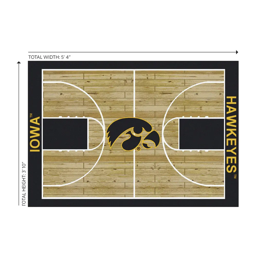 University Of Iowa 4x6 Courtside Rug