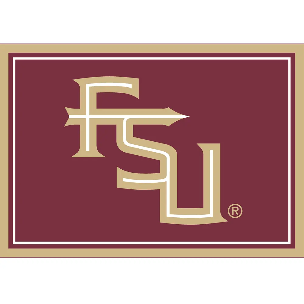 Florida State 3x4  Area  Rug
