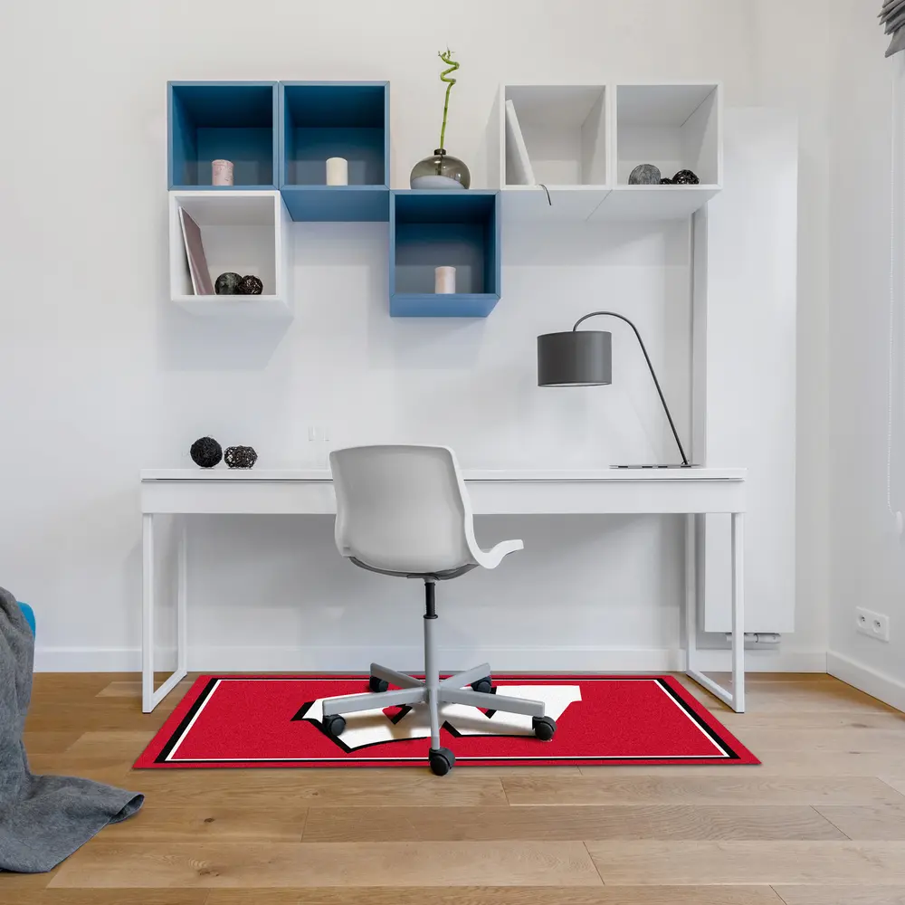 University Of Wisconsin 3x4  Area  Rug