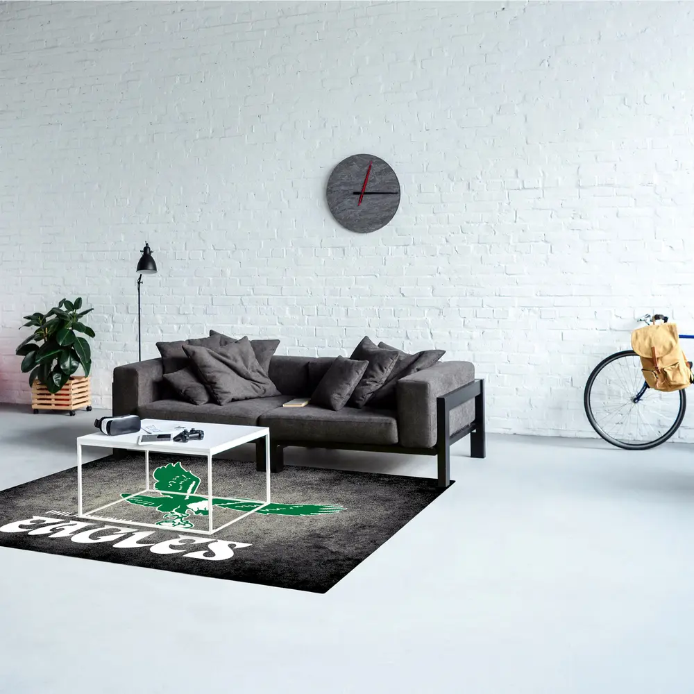 Vintage Philadelphia Eagles 4x6 Distressed Rug