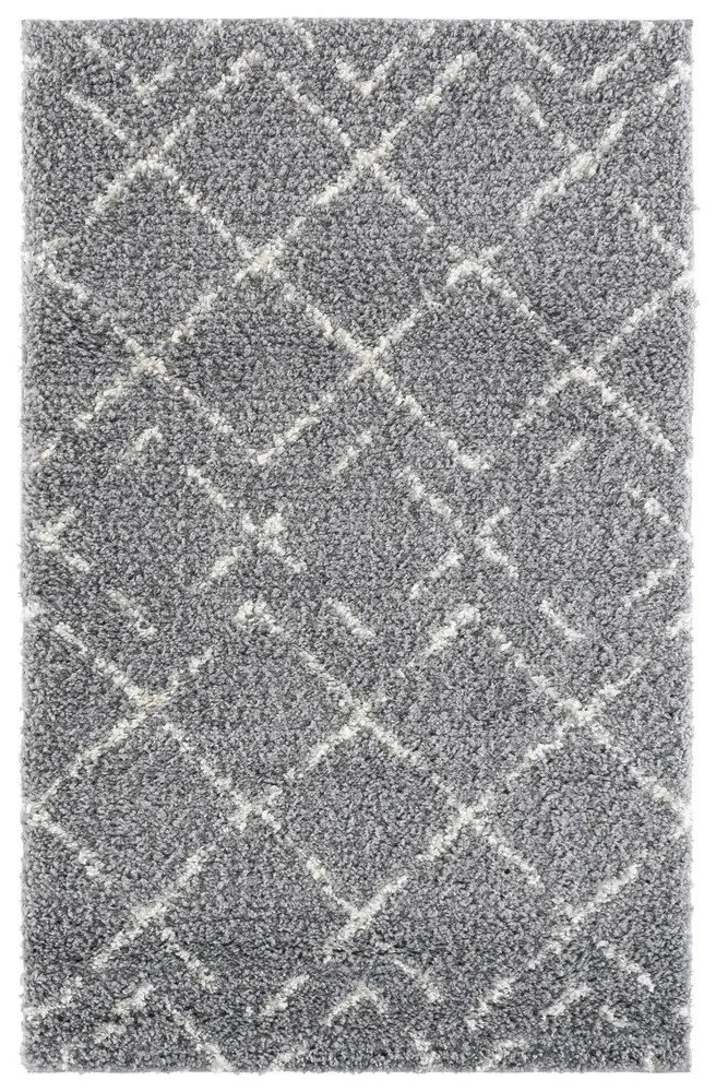 Safavieh Arizona Shag 3'-2