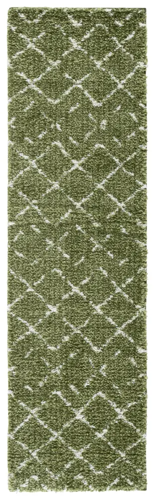 Safavieh Arizona Shag 2'-3