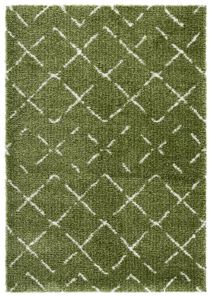 Safavieh Arizona Shag 5'-1