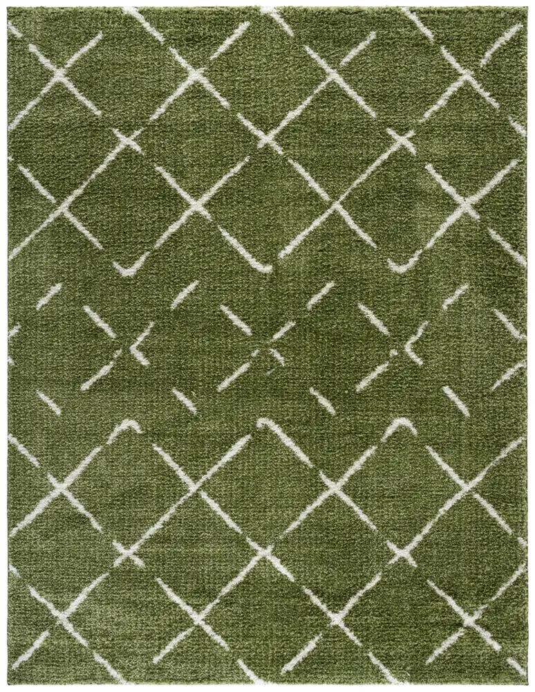 Safavieh Arizona Shag 8'-0