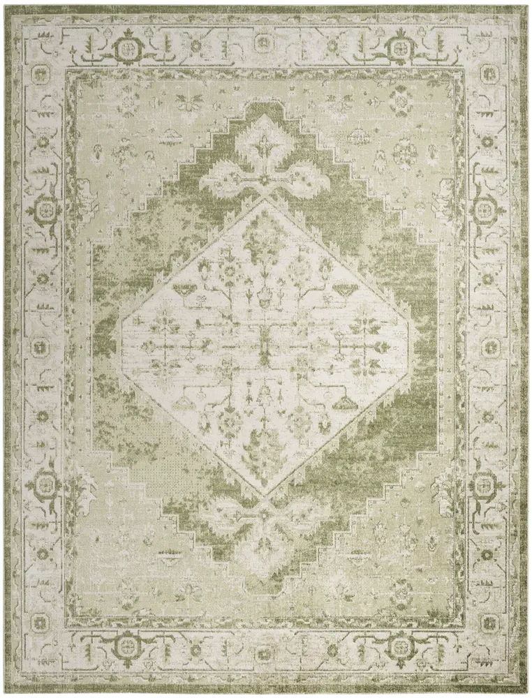 Nourison Home Astra Machine Washable Area Rug