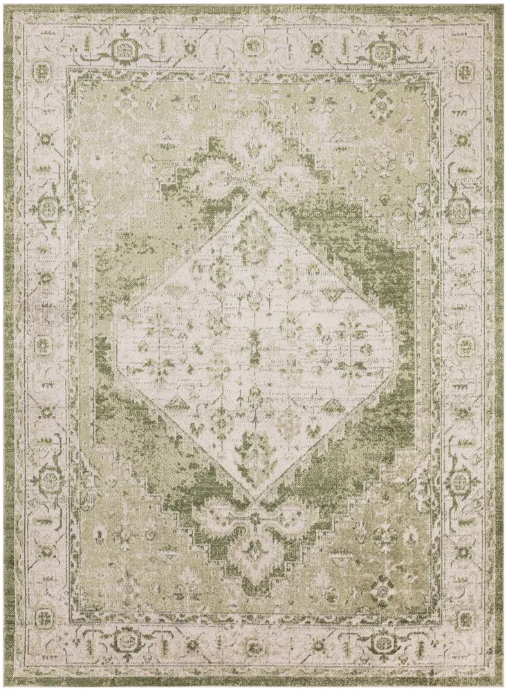 Nourison Home Astra Machine Washable Area Rug