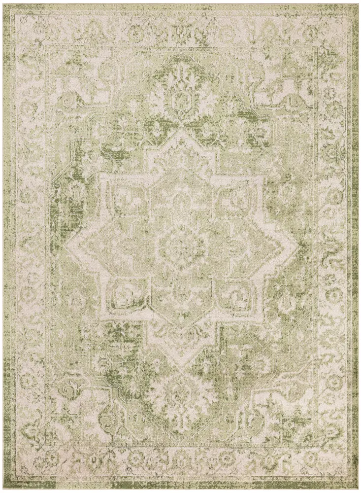 Nourison Home Astra Machine Washable Area Rug