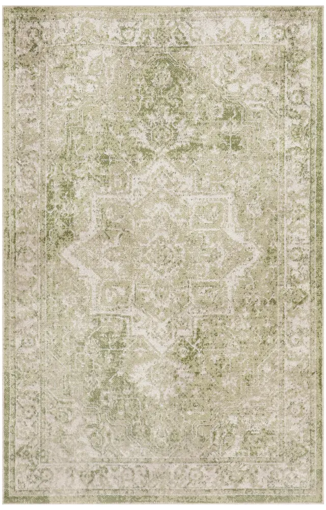 Nourison Home Astra Machine Washable Area Rug