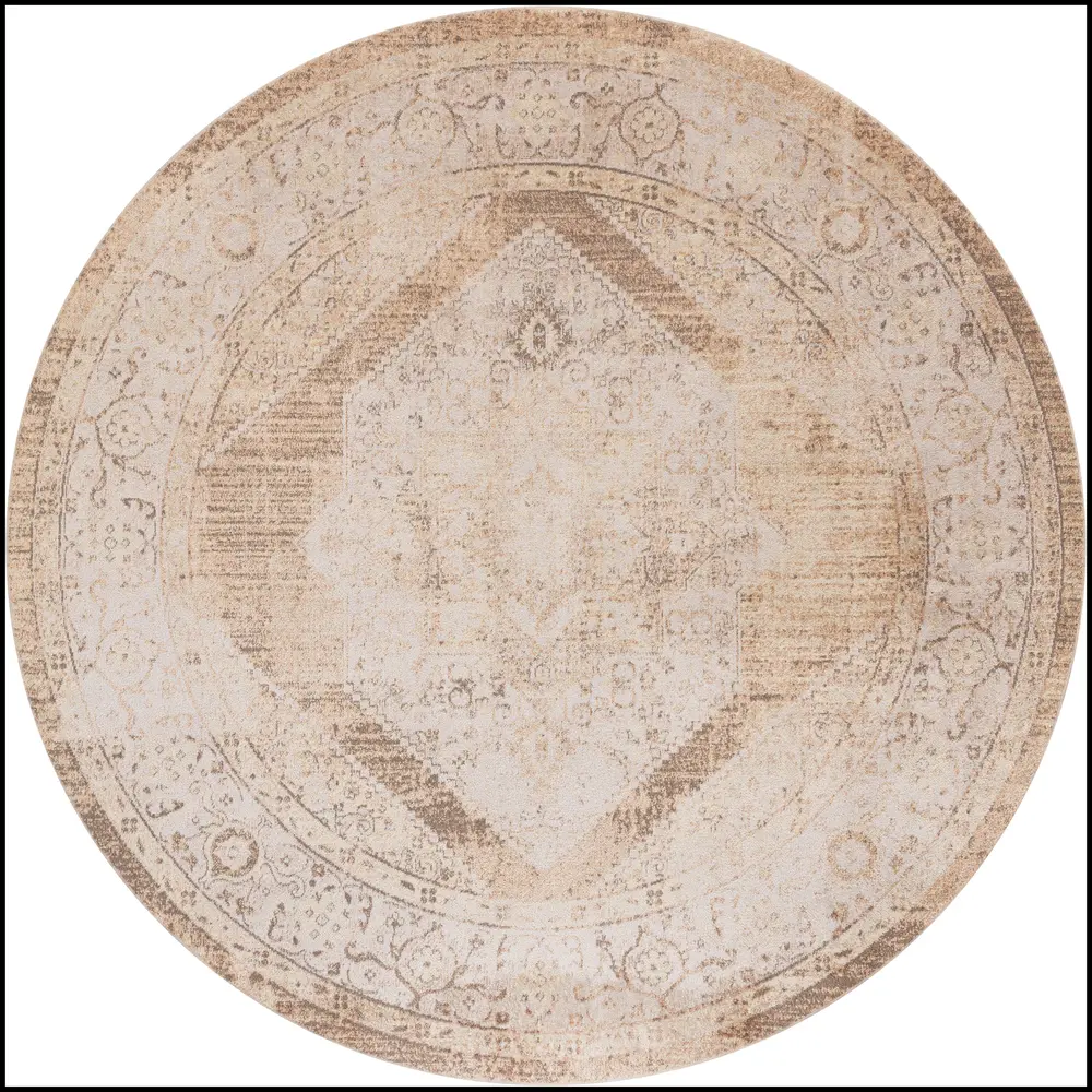 Nourison Home Astra Machine Washable Area Rug