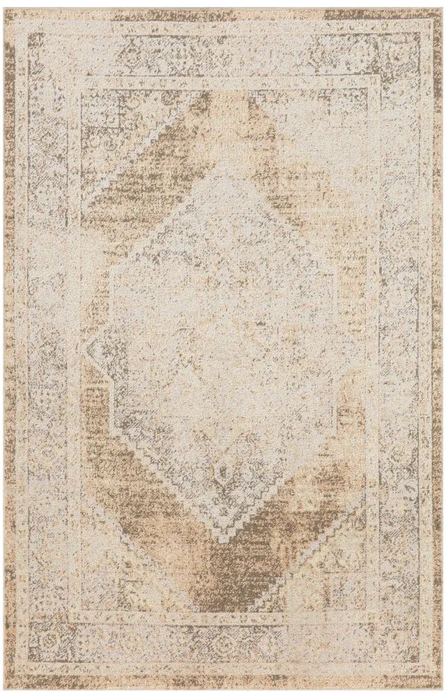 Nourison Home Astra Machine Washable Area Rug