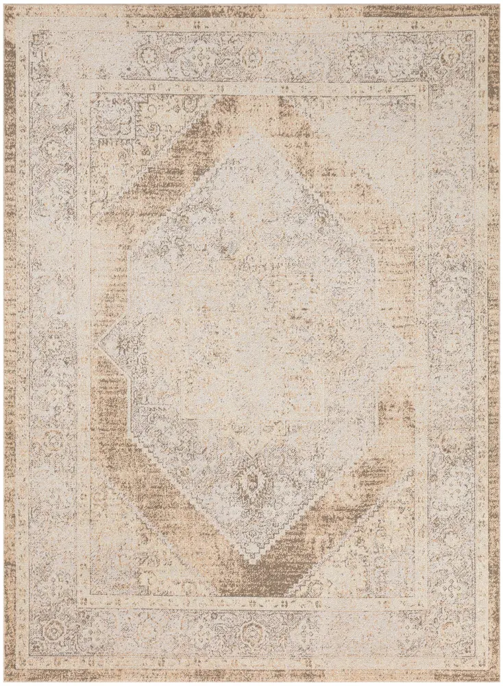 Nourison Home Astra Machine Washable Area Rug