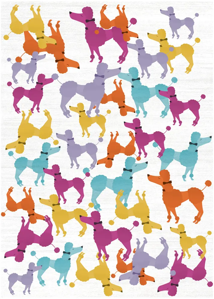 Nourison Home Imagination Area Rug