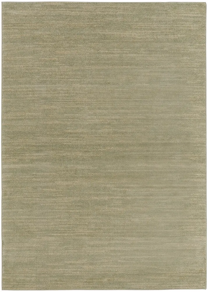Nourison Home Nourison Essentials Area Rug