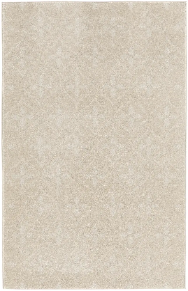 Nourison Home Nourison Essentials Area Rug