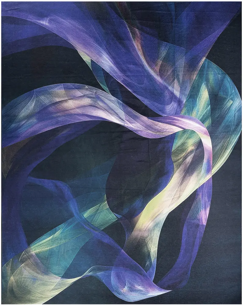 Nourison Home Nourison Washables Area Rug