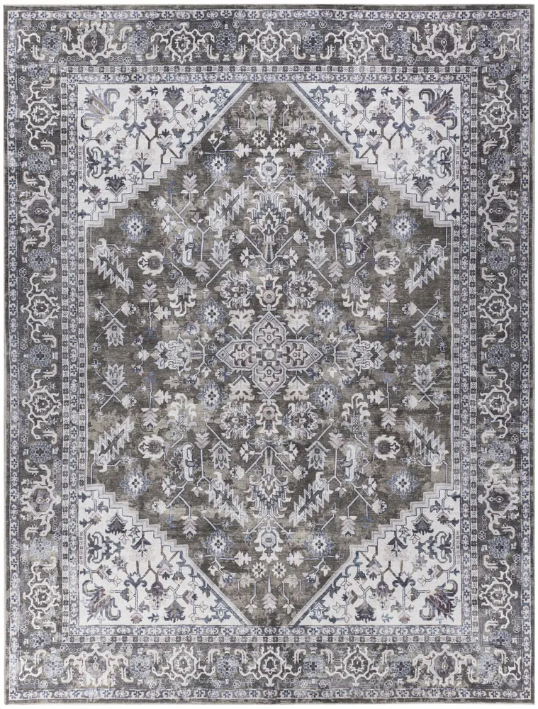 Nourison Home New Concept Washables Area Rug
