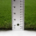 Image 14