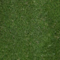 Image 16