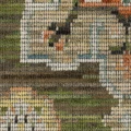 Image 13