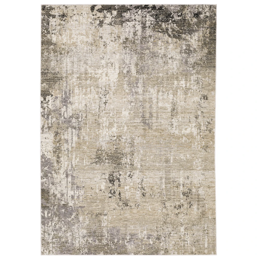 Nebulous 002X9 Beige/ Grey Indoor Area Rug - 3'3