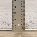 Image 14