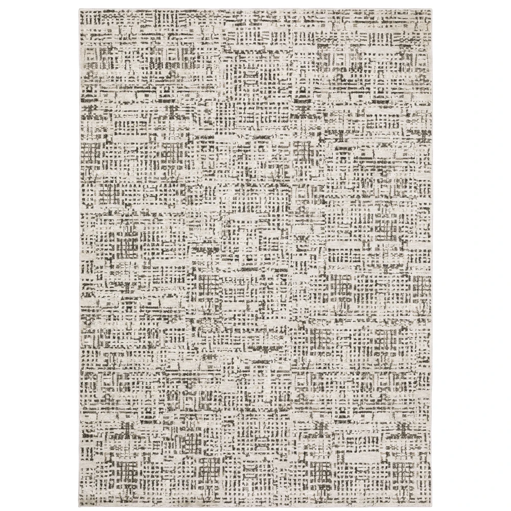 Nebulous 2060W Ivory/ Grey Indoor Area Rug - 3'3