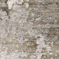 Image 14