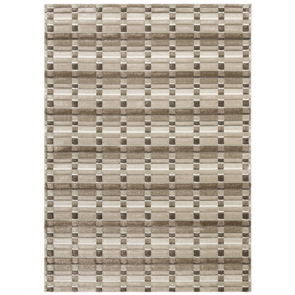 Wonder WON06 Brown/ Beige Indoor Area Rug - 3'3