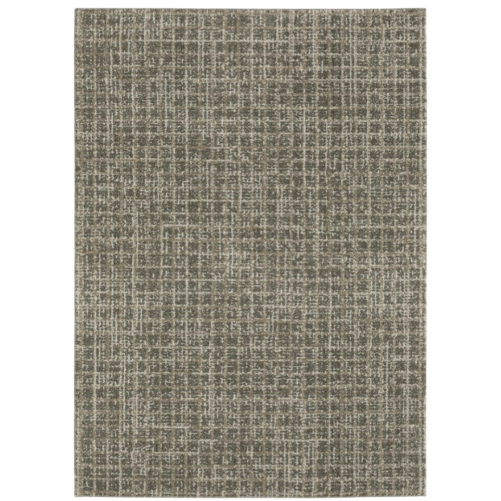Alton 090N9 Grey/ Beige Indoor Area Rug - 5'3