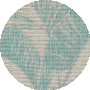 Aqua