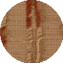 Terra Cott
