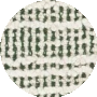 Green / Ivory