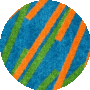 Citrus