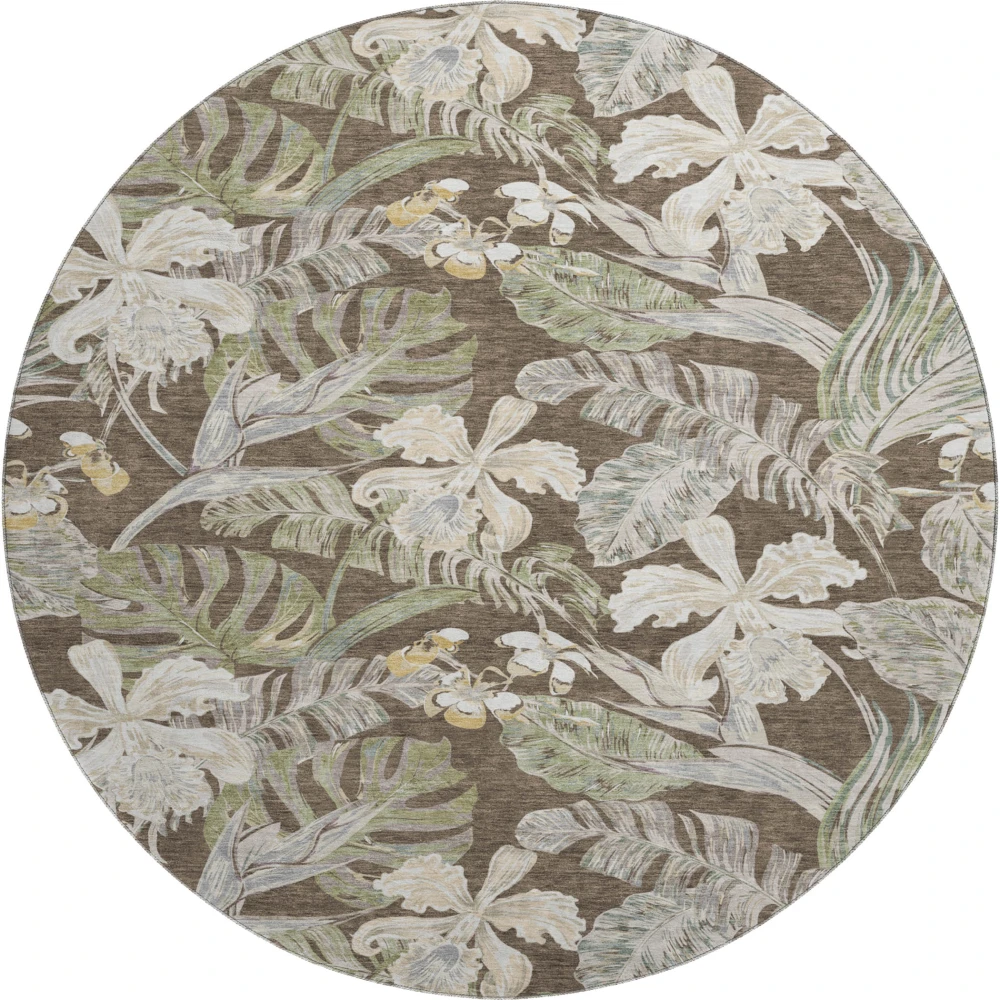 Mayfield AMF1708 Brown 8' x 8' Rug
